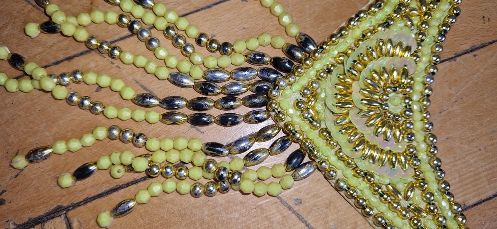 Passista brasil samba