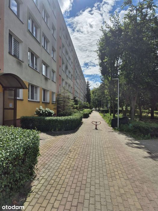 Mieszkanie 3 pokojowe na Rubinkowie I