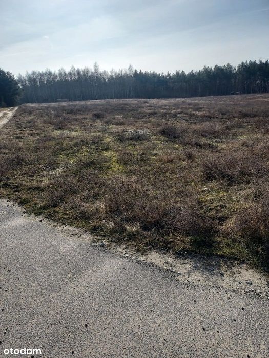 Działki Budowlane Gniezno, Trzemeszno, Wymysłowo - Więcej