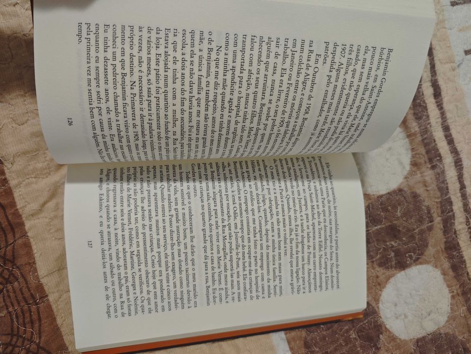 Livro "um longo domingo de noivado"