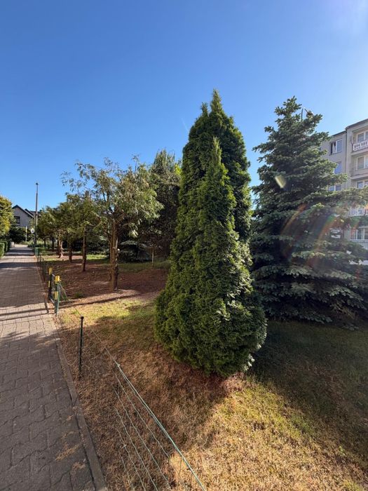 Sprzedam mieszkanie 58,6m2 3 pokoje SIKRONIK