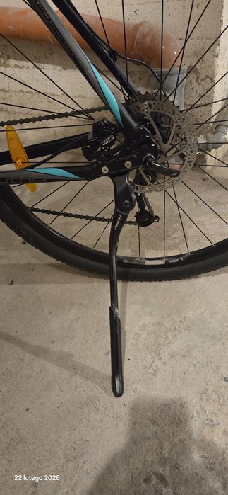 Rower Author Grand 2017