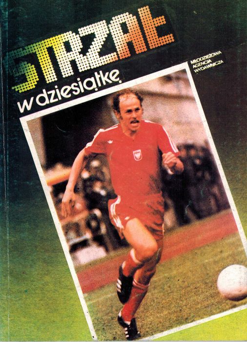 Strzał w dziesiątkę - książka