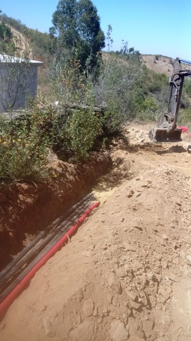 Limpeza de terros/Manutenção de jardins