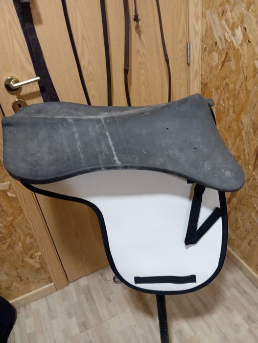 Sela/ Selim de ensino lexhis kll completo com cabeçada