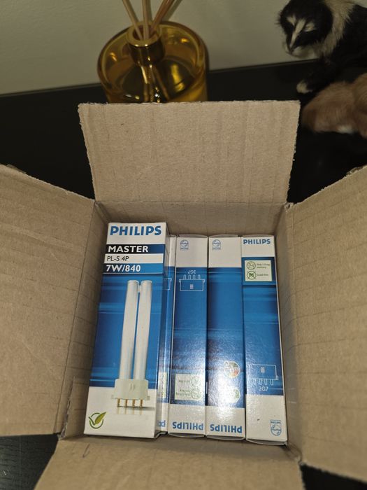 Lampada fluorescente Philips