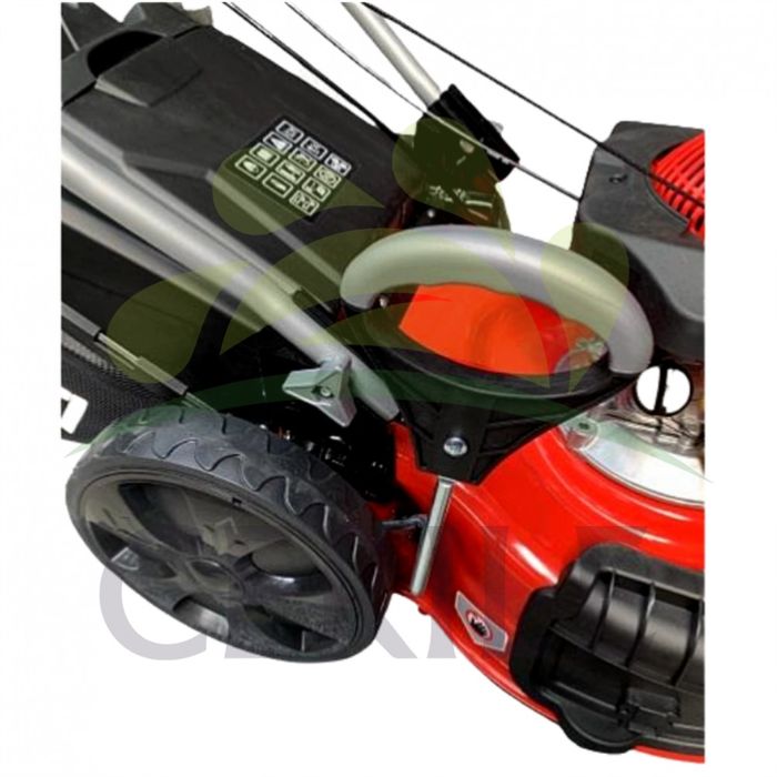 CORTA RELVA GASOLINA DUCATI DLM4601S 150CC