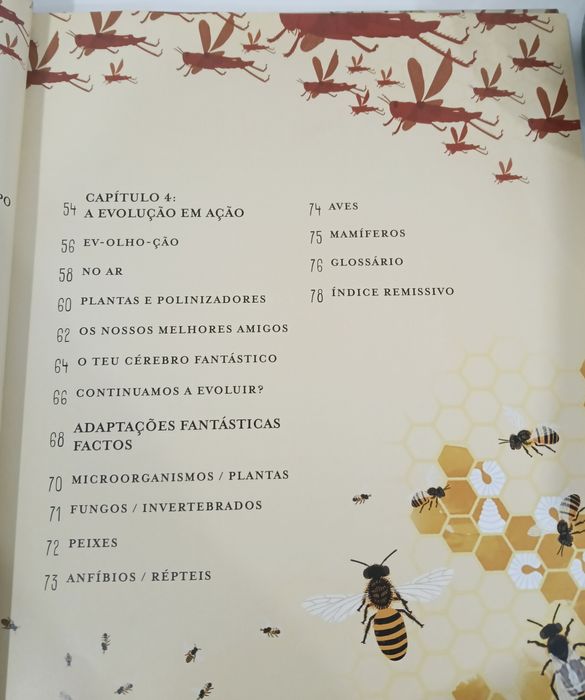 Incrível Evolução - A Viagem da Vida