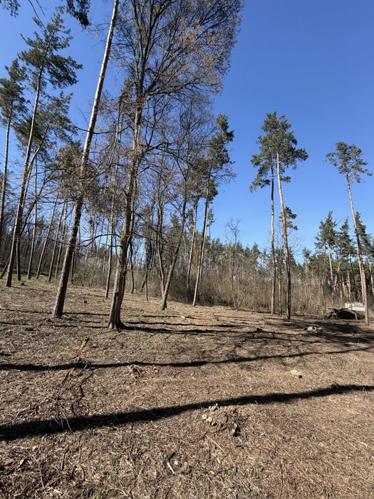 Продаж ділянок КМ Нова Ходосівка 8-10 соток с. Ходосівка Новообухівська траса всі комунікаціі МегаМаркет Alfresco