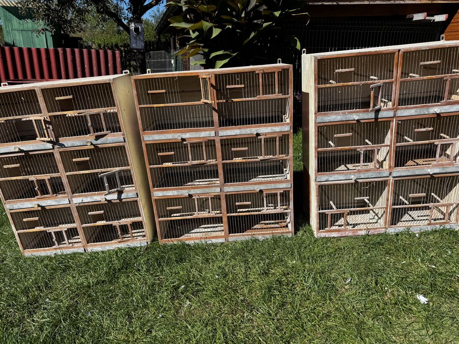 Regał hodowlany , regaly hodowlane