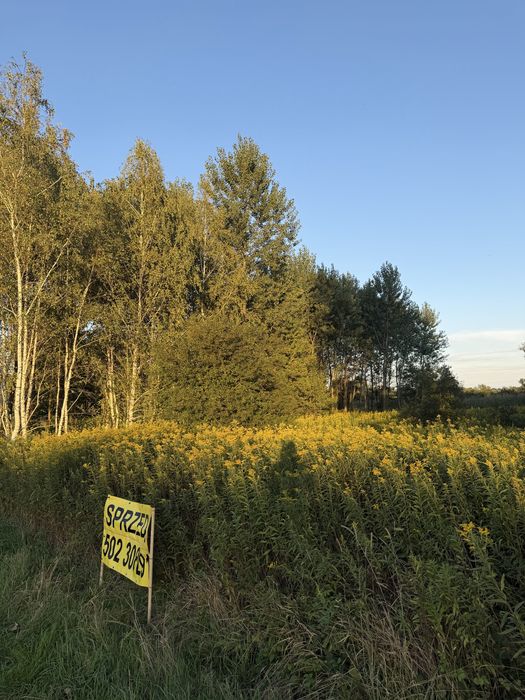 Działka z bezterminowymi warunkami zabudowy na sprzedaż – Zgórsko, gmina Radomyśl Wielki - Widok 5