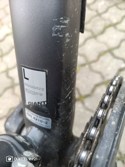 Rower Giant  Roam 2 ISO 4220-2