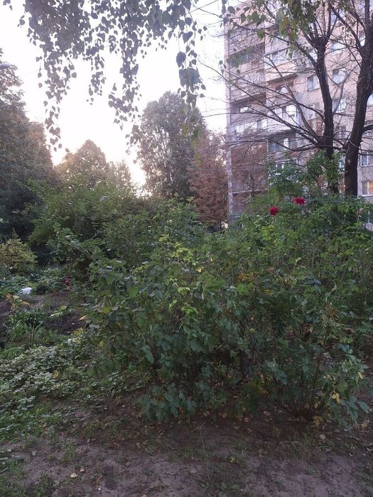 Аренда 1к квартиры внизу Рабочей