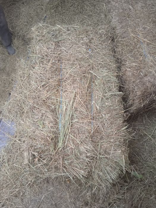 Сено луговое в тюках