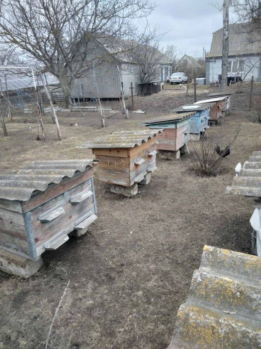 Продам Вулики для бджіл