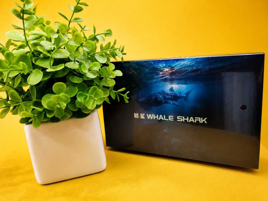 ‼️ TRN Whale Shark гибридные IEM наушники 3DD + Planar, сменные фильтры, 3.5/4.4 мм, Hi-Res звук