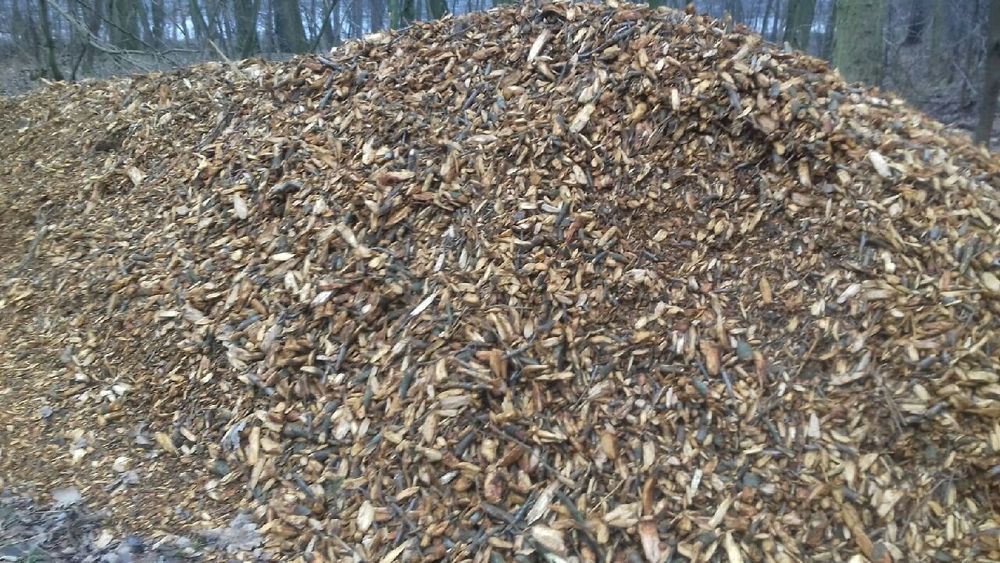 Wycinka drzew, rębak, frezarka do pni