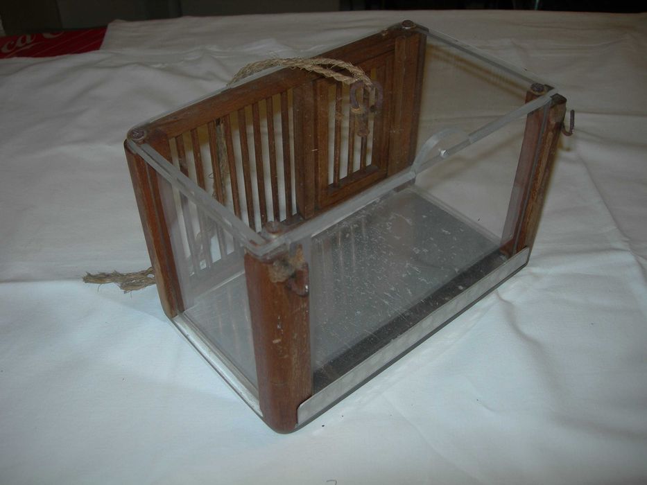 Gaiola de chamariz ou de cantar.