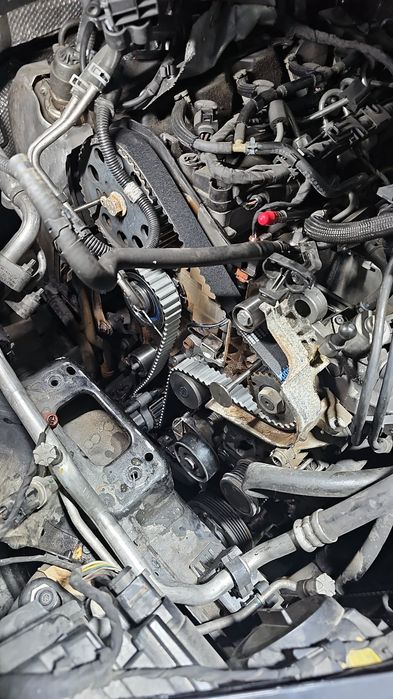Reparação/Manutenção/Detalhe Automóvel