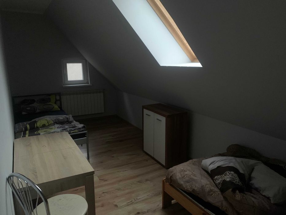 Do wynajęcia pokój pokoje