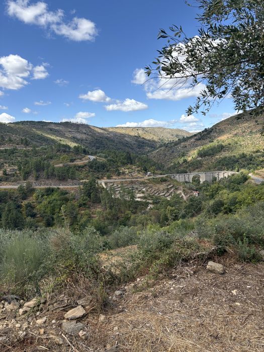 Terreno Murça 5100m