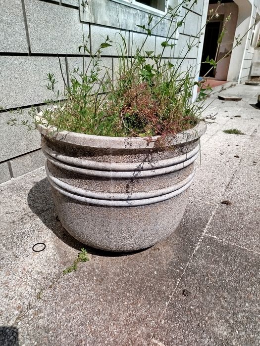 Vasos e decoração de Jardim
