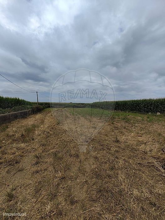 Terreno  para arrendamento