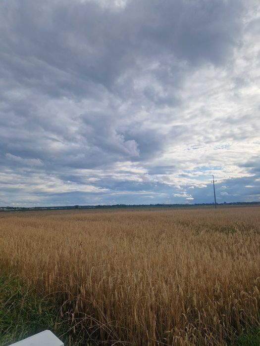 Działka budowlana 800 metrów Ostrów ul. Nowa Zacharzew+ WZ