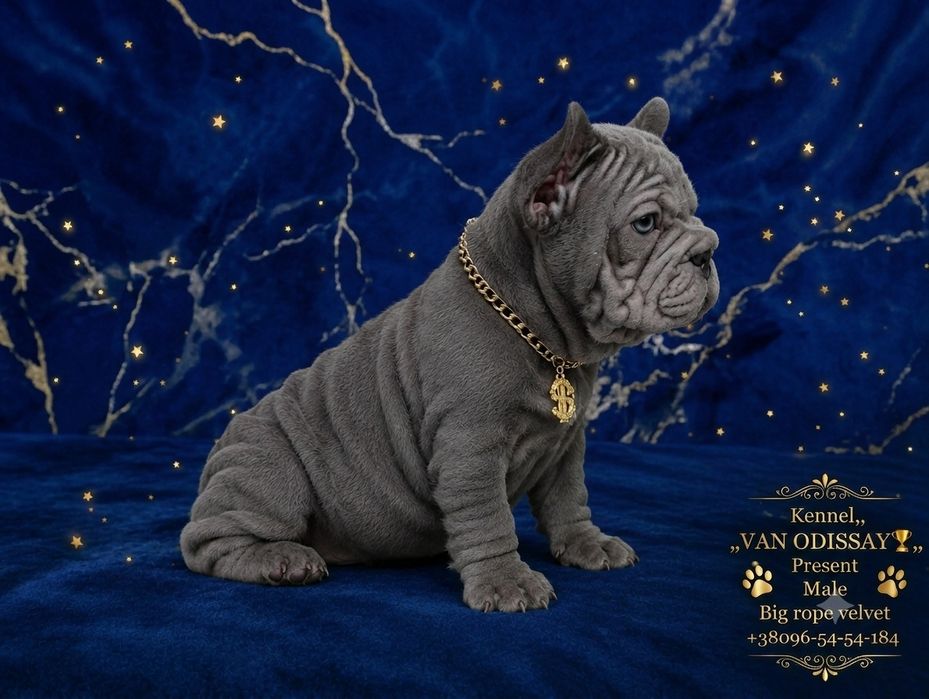 Vip малыш big rope velvet в Лиловом окрасе. Есть доставка.