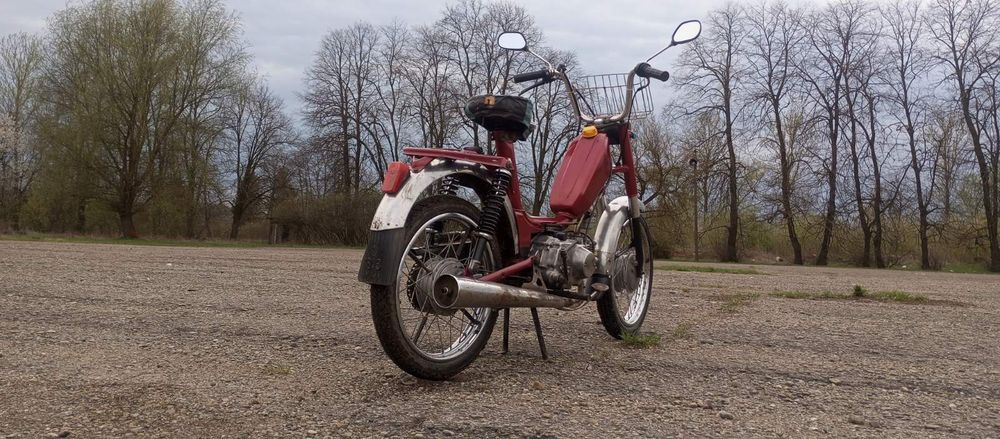 Малагутик Італія