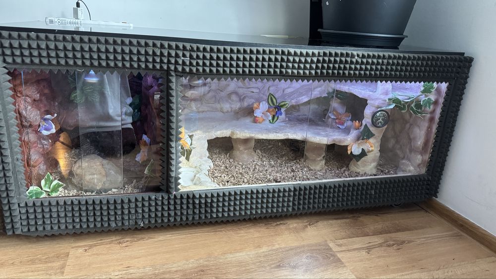 Terrarium 2w1 ręcznie wykonane