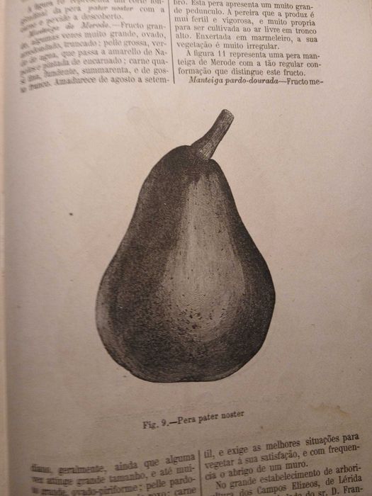 O Agricultor Portuguez, Volume 6 Nº2 1883