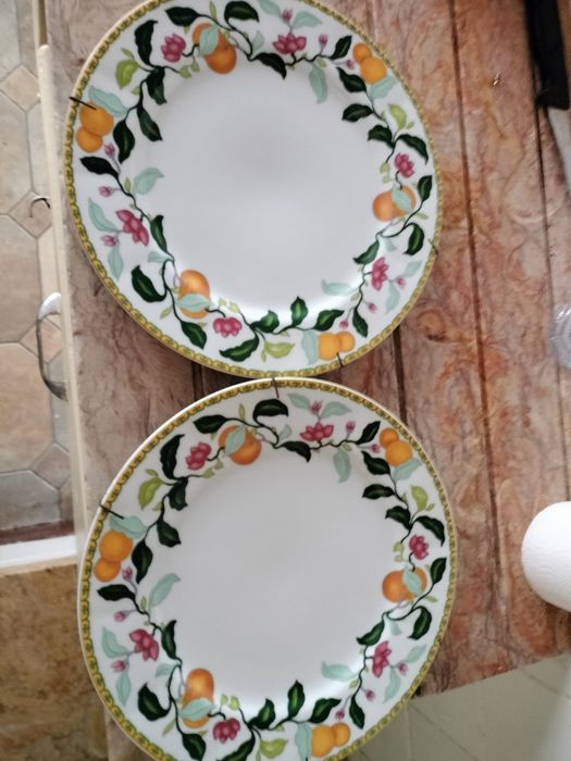 Pratos da vista alegre