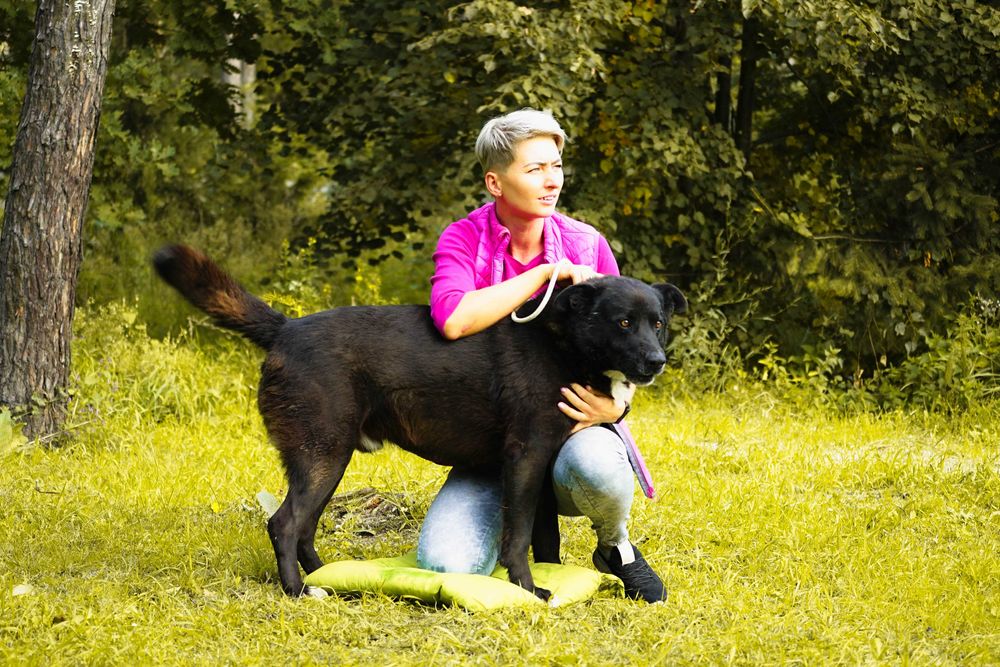 Ciacho - duży fajny pies szuka rodziny