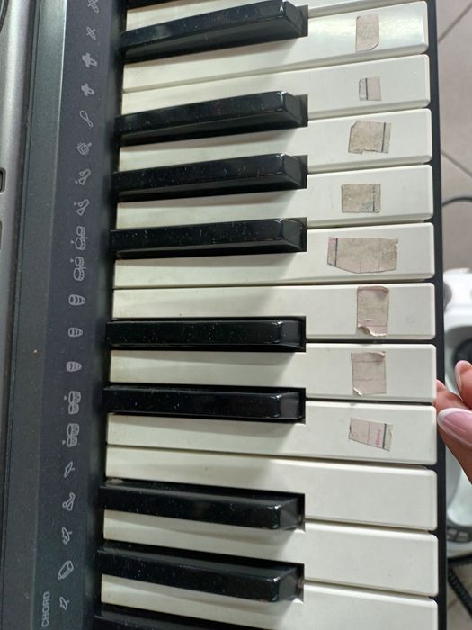 Keyboard Casio CTK-811EX