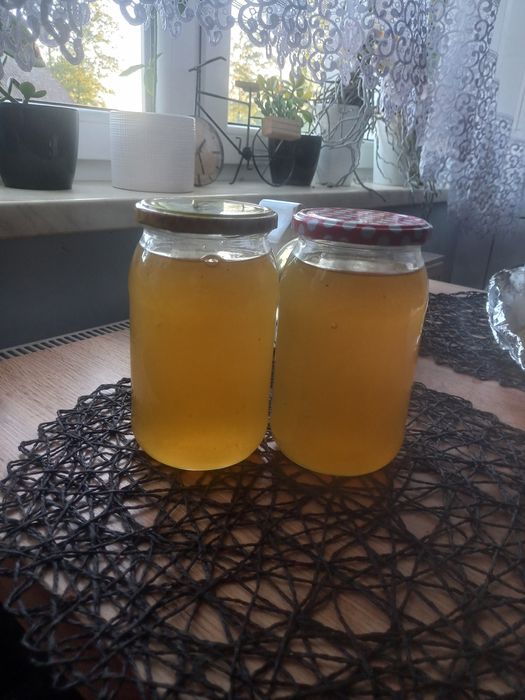 miód wielokwiatowy