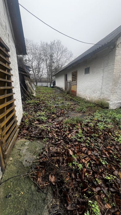 Продам добротний будинок в с. Медвин