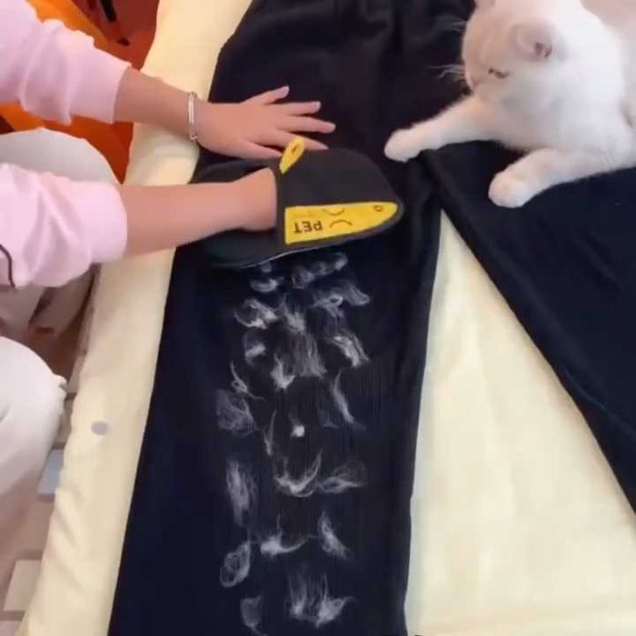 Luva removedora de pelos