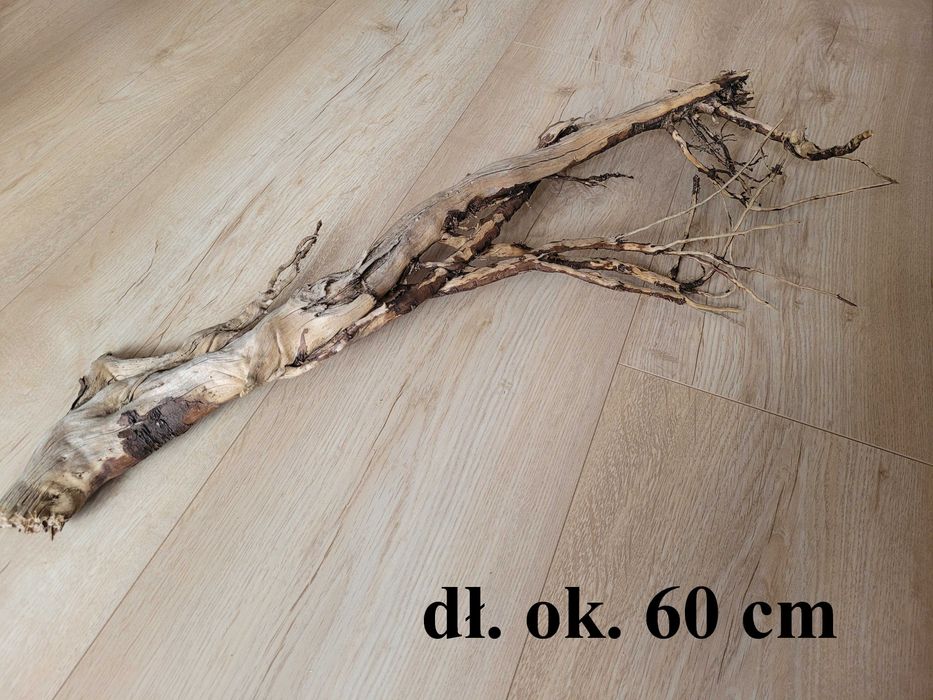 naturalne kryjówki dla agamy, gekona  28/28 cm