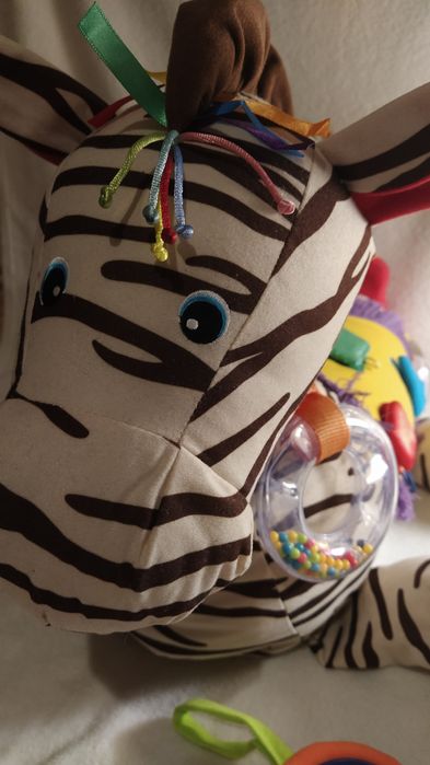 NOWA, Zebra interaktywna Rayan