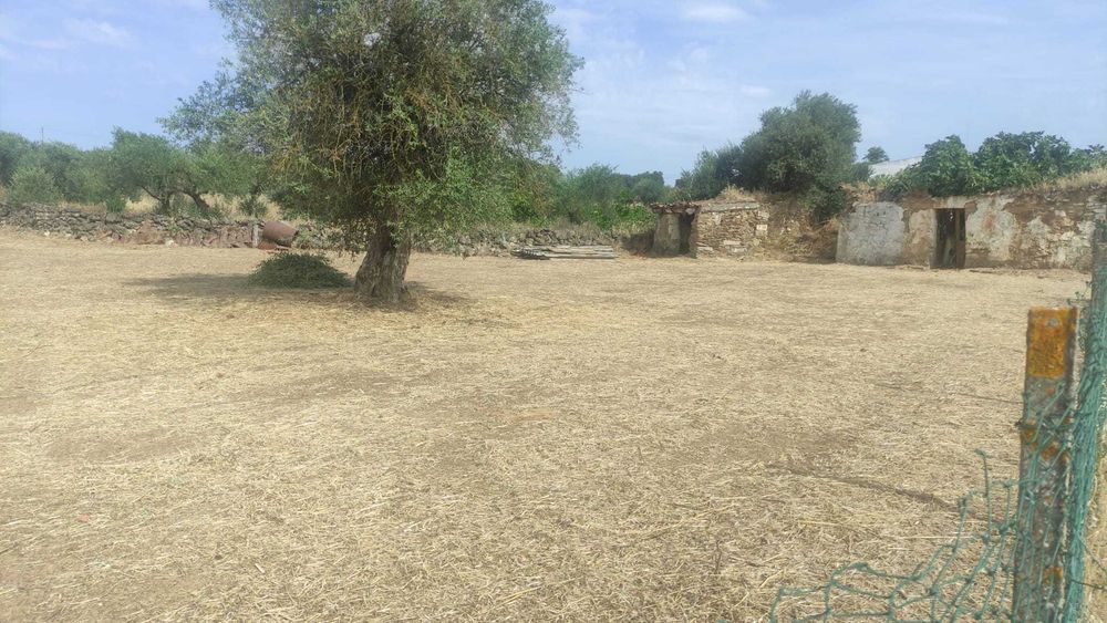 Terreno urbano com 661 m² e viabilidade de construção em Vila Nova de São Bento
