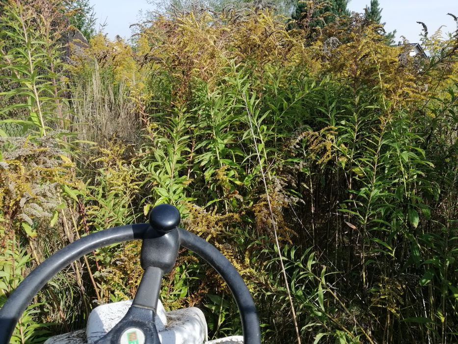 Koszenie trawy działek, karczowanie nieużytków, rębak,wycinka
