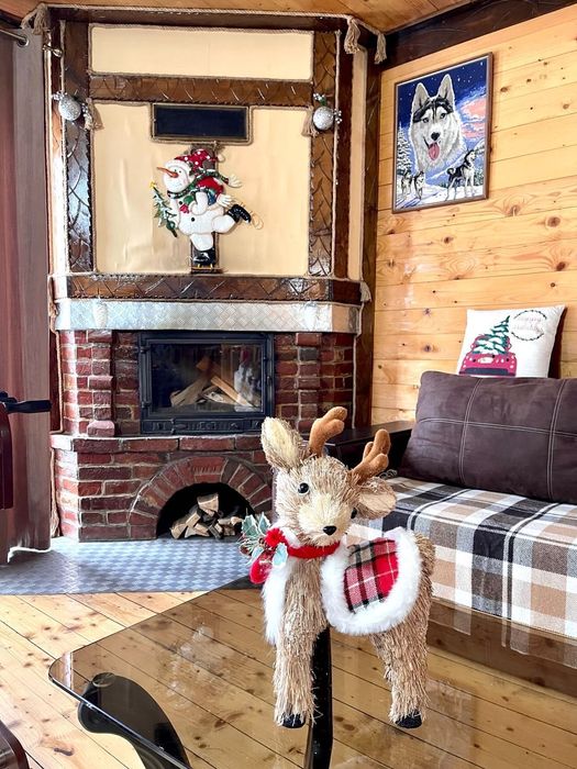 Оренда Будинок , дом, Котедж  буковель сауна