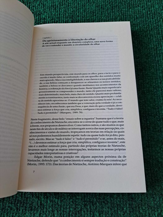 A Fruição da Arte, Hoje - Idalina Sardinga