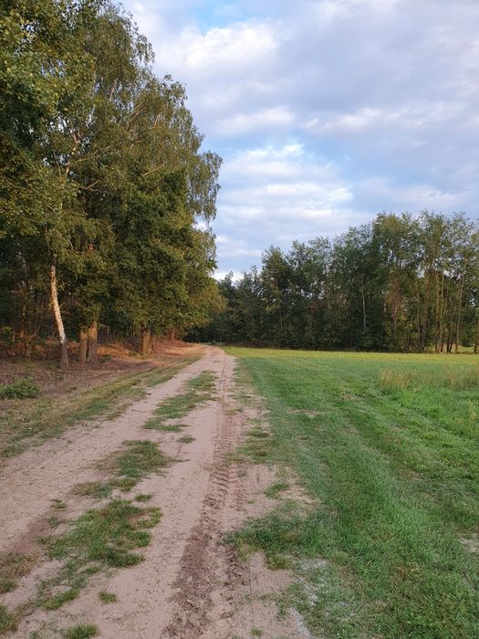 Działka z warunkami zabudowy prąd I woda Chojniki - Mehr