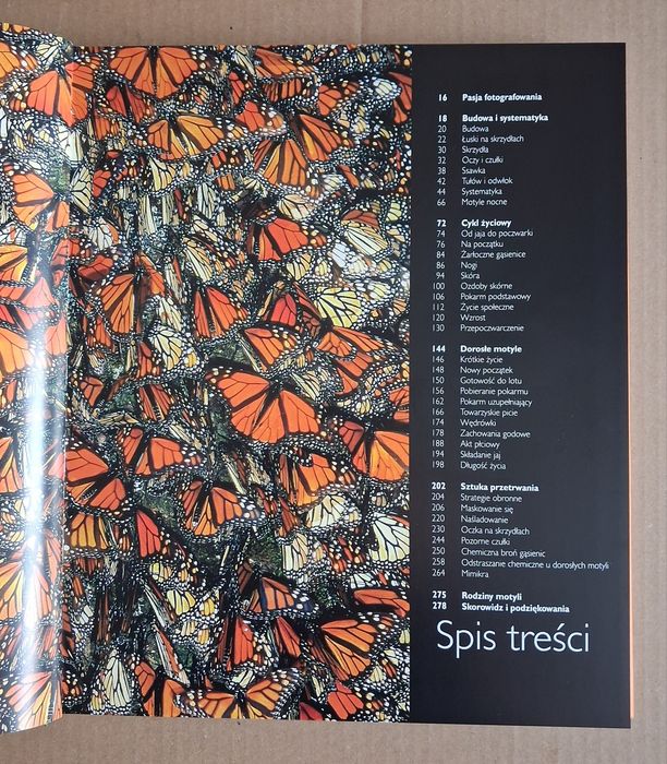 Motyle.   Thomas Marent.