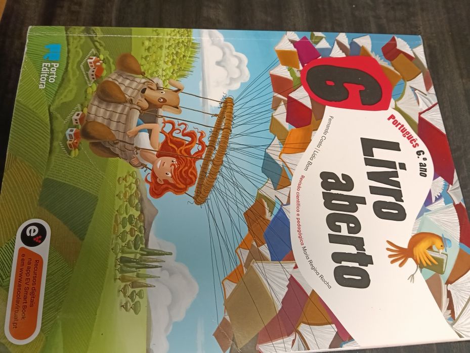 Manuais/ livros 6°ano