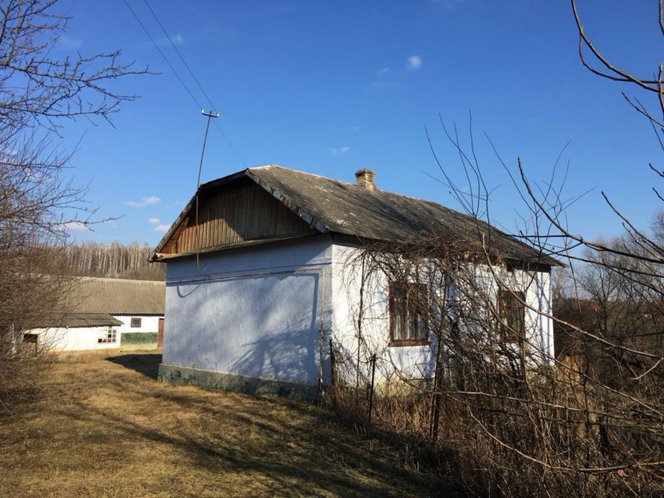 Будинок з земельною ділянкою