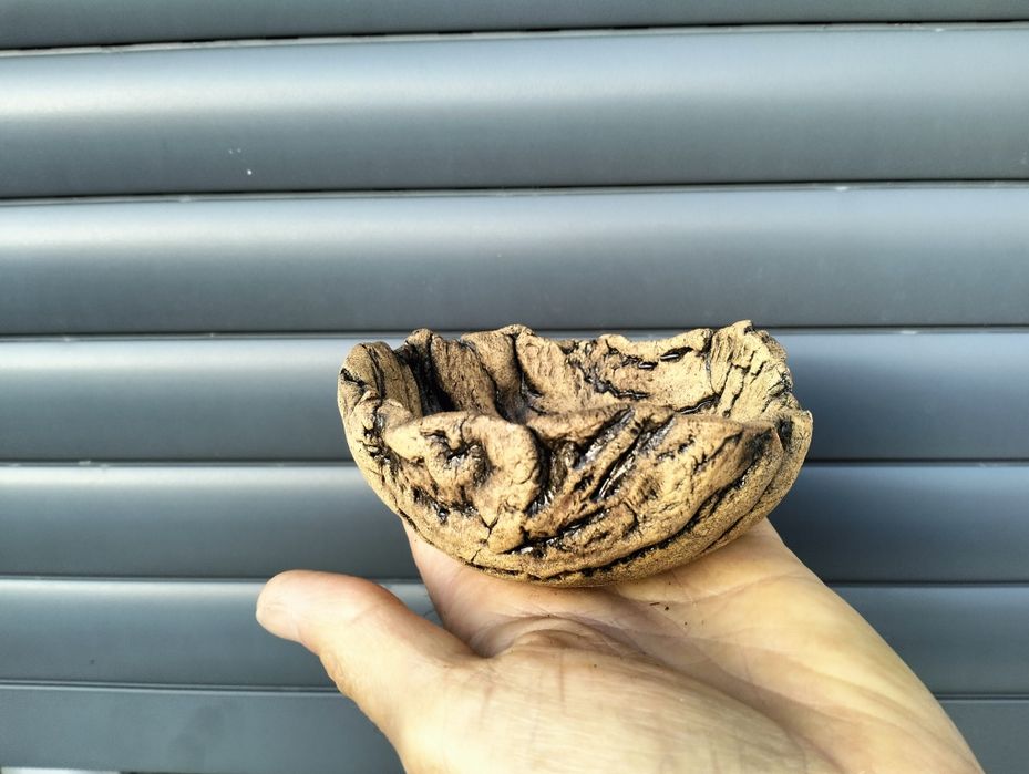Vaso bonsai kusamono