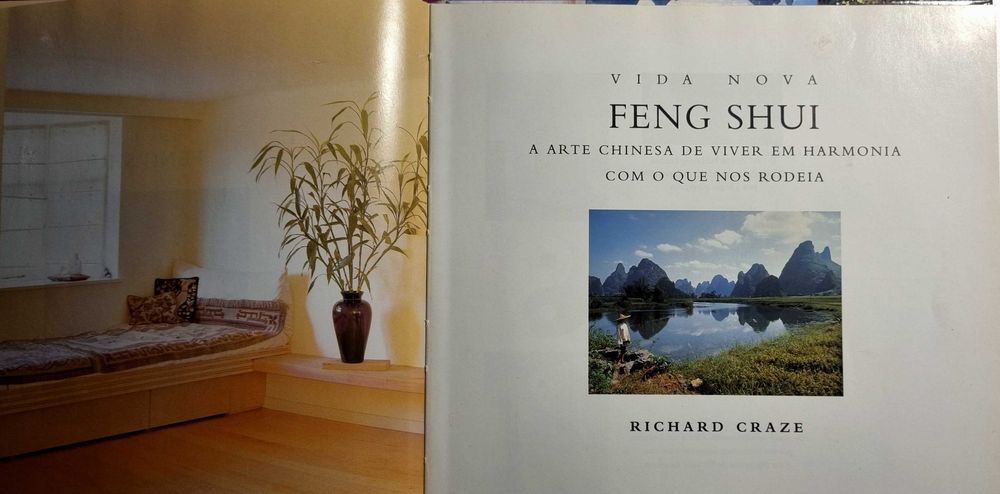 Feng Shui - Para uma organização integral do espaço de Richard Craze